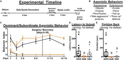 Activity of a vmPFC-DRN Pathway Corresponds With Resistance to Acute Social Defeat Stress